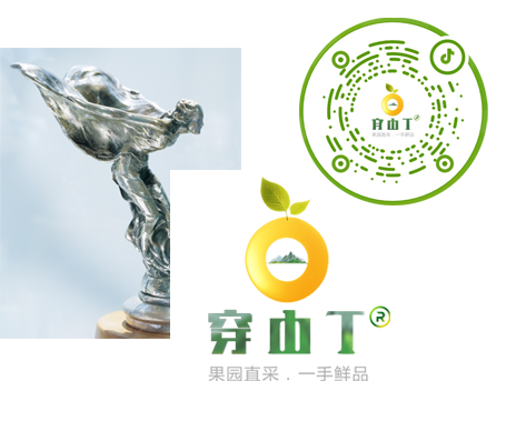 品牌广告